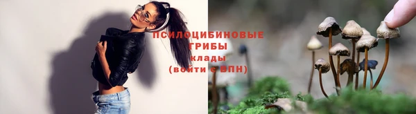 2c-b Балабаново