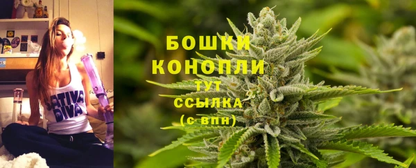 гашик Балахна