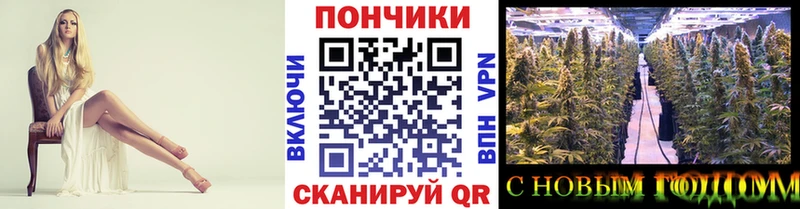 МАРИХУАНА Amnesia  Голицыно 